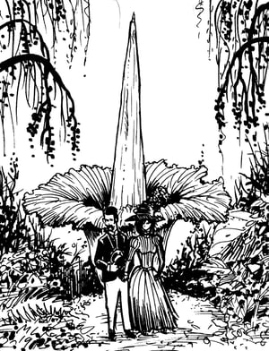 Image of Corpse Flower inked art