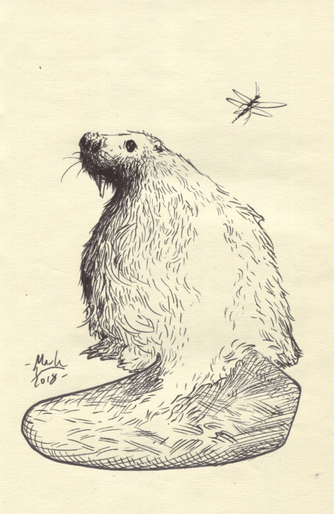 Image of Beaver inked art piece
