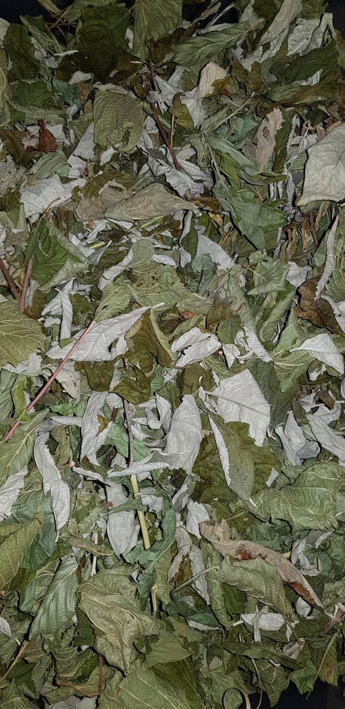 Image of Dried Delights airdried mixed forage