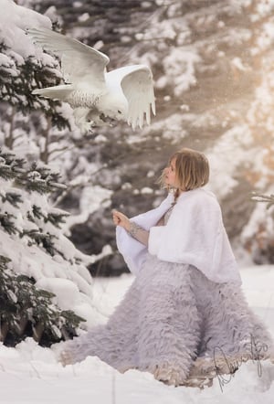 Image of Snowy Owl Overlays Set