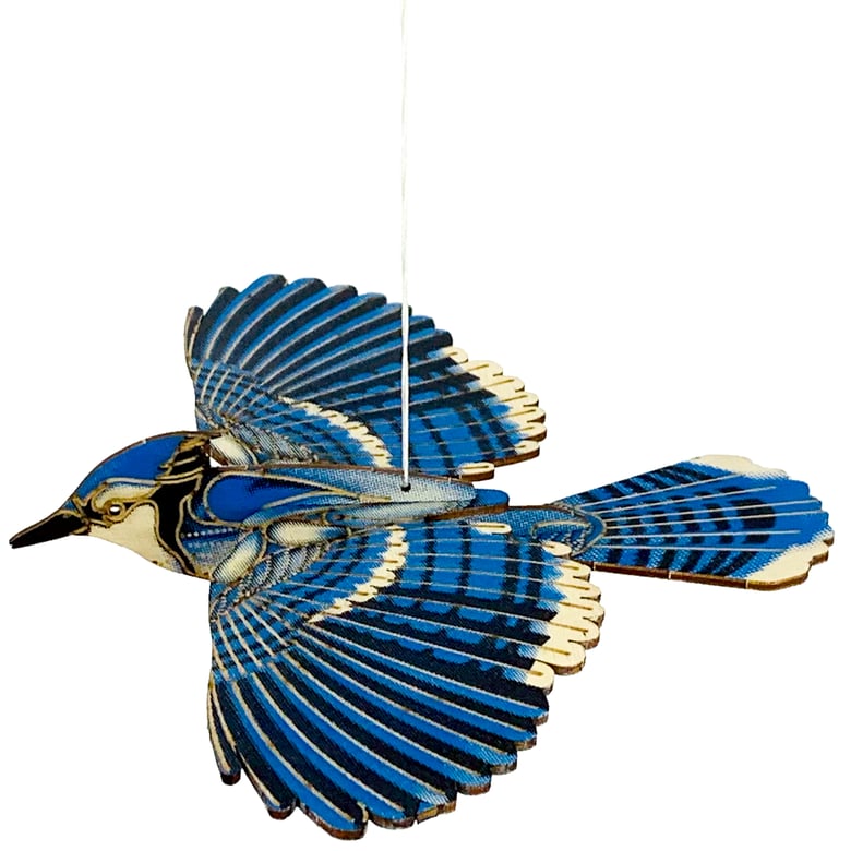 Image of JCR BIRDS : BLUE JAY