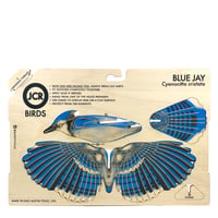 Image 2 of JCR BIRDS : BLUE JAY