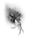 BUTTERFLY ASHES ARCHIVAL 8 x 10 INCH GICLÉE PRINT