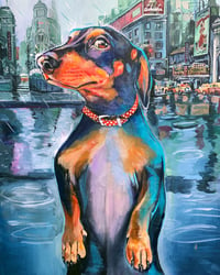 Image 1 of “Monty in New York”