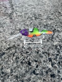 Stripe o'licious Shad 7