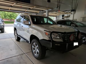 Image of Dobinsons Bull Bar