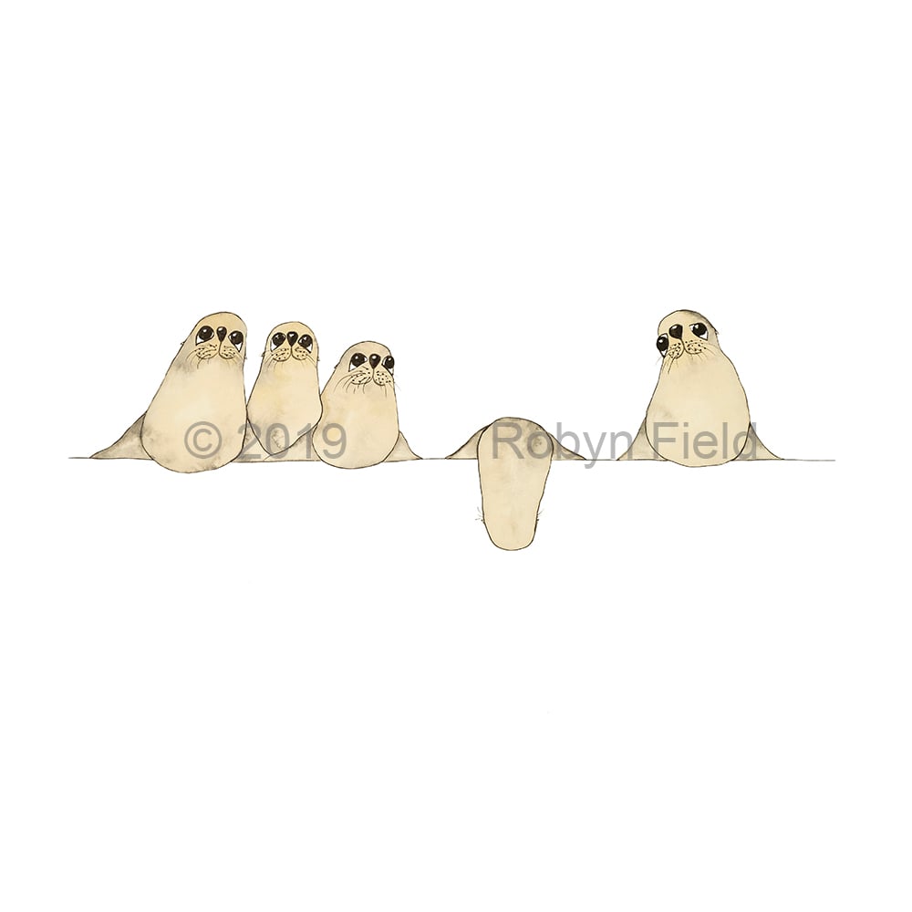 Image of Australian Artwork Print - Seals on a wire