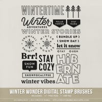 Winter Wonder Stamp Brushes (Digital)