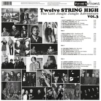 Image 3 of TWELVE STRING HIGH 2LP