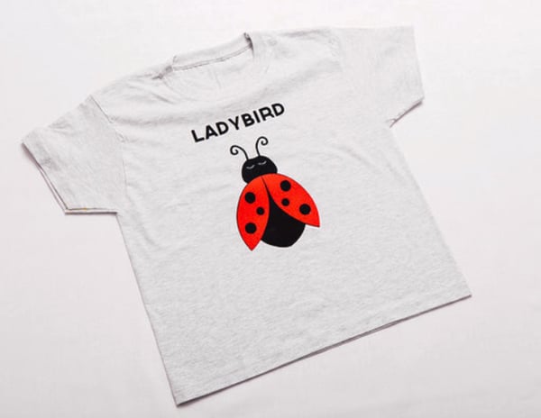 Image of Ladybird Tee/Jumper 