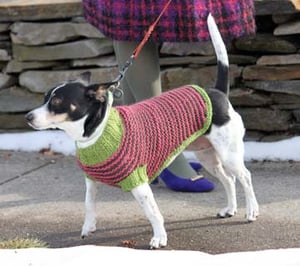 Image of Knit PDF - A Dog in Sheep's Clothing Dog Sweater Download