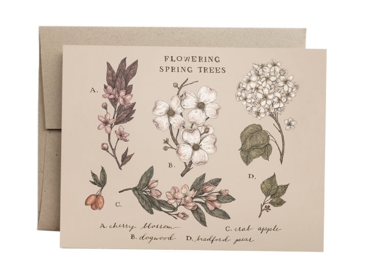 Image of Flowering Spring Trees Card