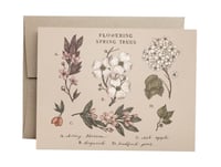 Image 1 of Flowering Spring Trees Card