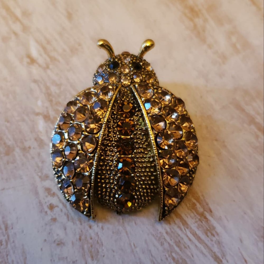 Image of LADY BUG BROOCH