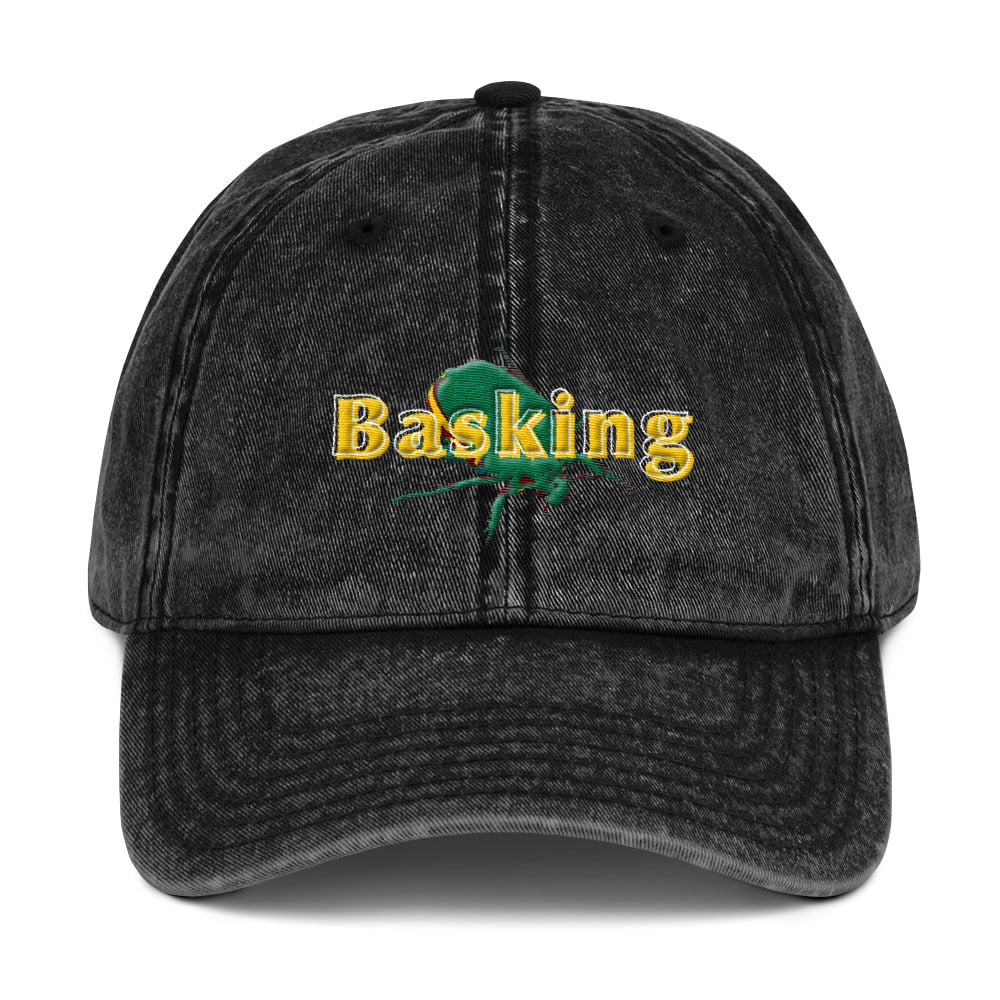 Image of Basking embroidered hat