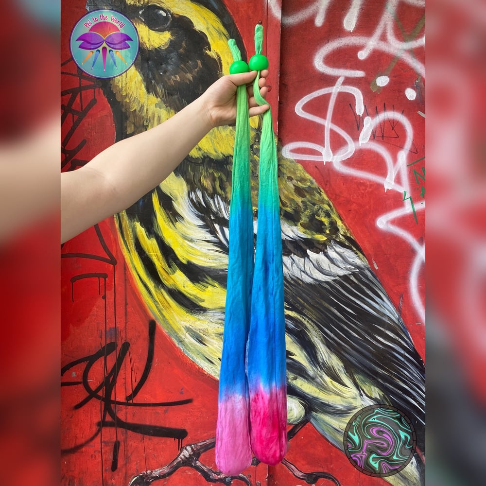 Image of Parrotfish Handdyed Poi 