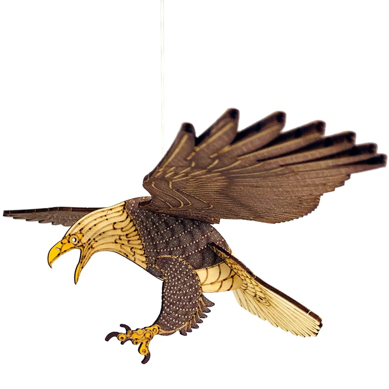 Image of JCR BIRDS : BALD EAGLE