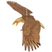 Image of JCR BIRDS : BALD EAGLE