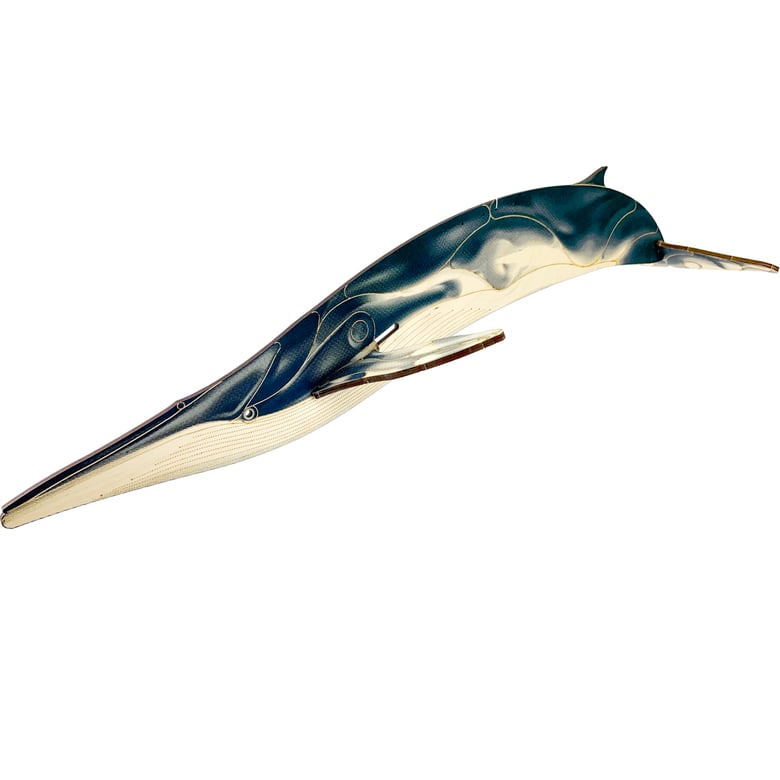 Image of JCR WHALES : FIN WHALE