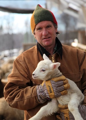 Image of Knit PDF - Quarters Cap for Adults, Kids and Babies Download