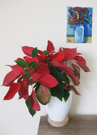 Image 4 of Red Anthuriums in a white vase