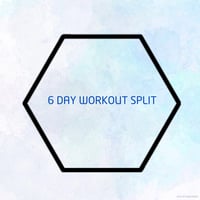 6 Day Workout Split