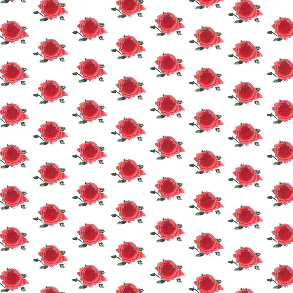 Image of Red Rose all occasion wrapping sheets