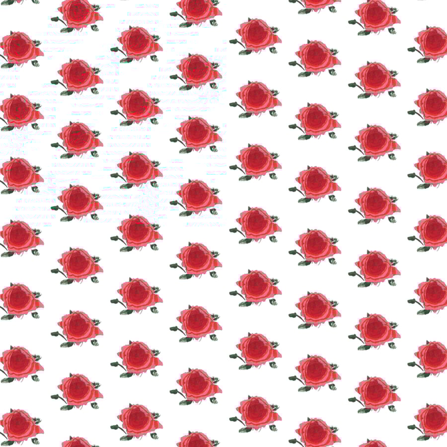 Image of Red Rose all occasion wrapping sheets