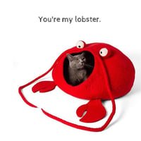 Cat Cave Bed Lobster - Handmade