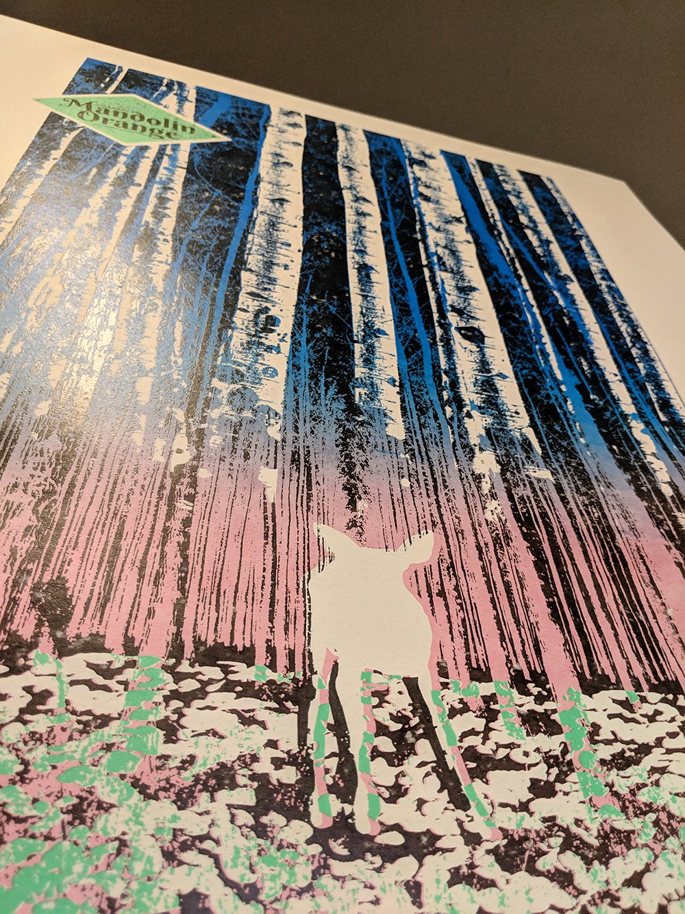 Mandolin Orange Tour Poster