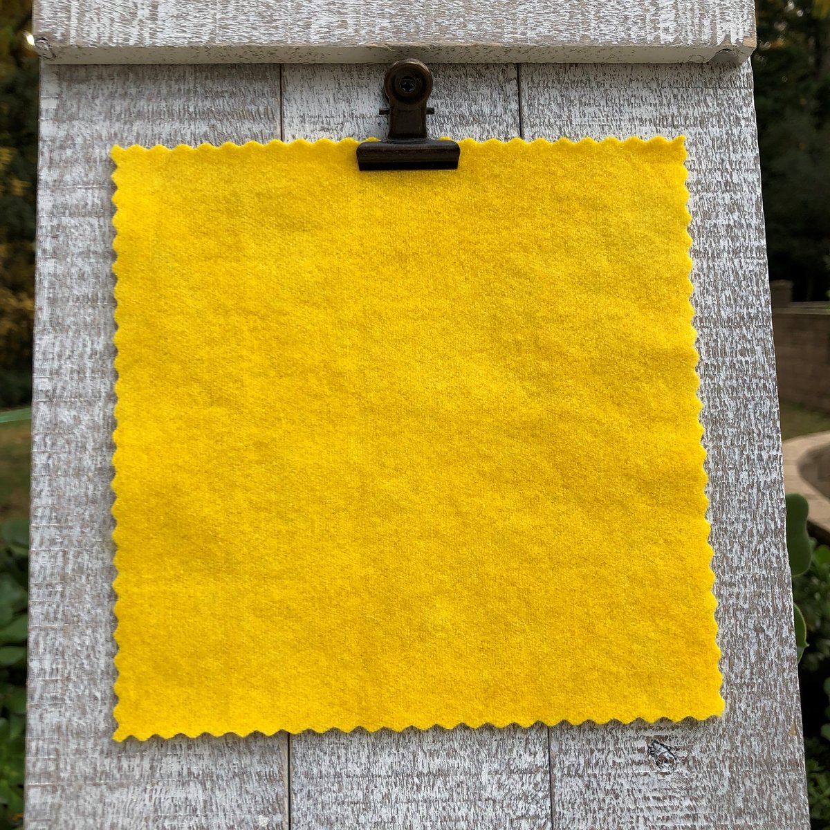 Sunflower Hand Dyed Wool | westcoastwool
