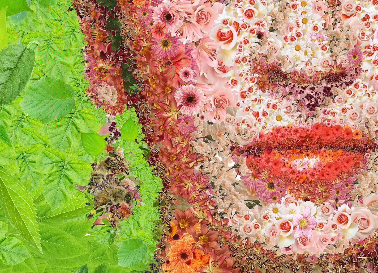 Carl Zeiss,Fujinonの描写を楽しもうTD, Cardia Frida Kahlo (Limited edition digital mosaic on paper) | tsevis
