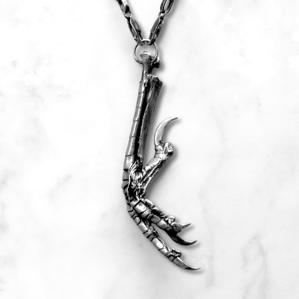 Image of Crow Claw Necklace