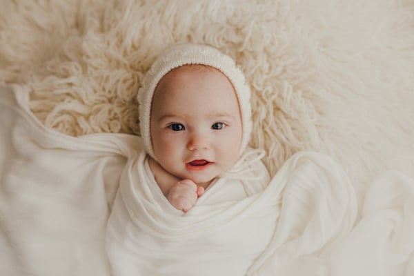 Image of The Baby Plan {$595}
