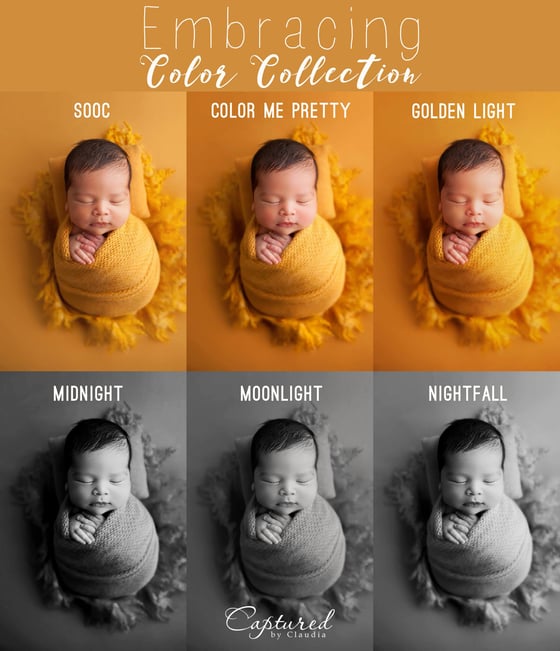 Image of  Embracing Color Collection