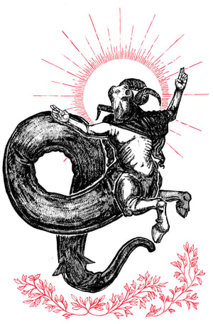 Image of  "Capricorn", 13"x19" Print