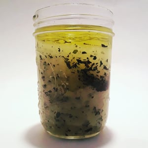 Image of Double Mint Foot Scrub