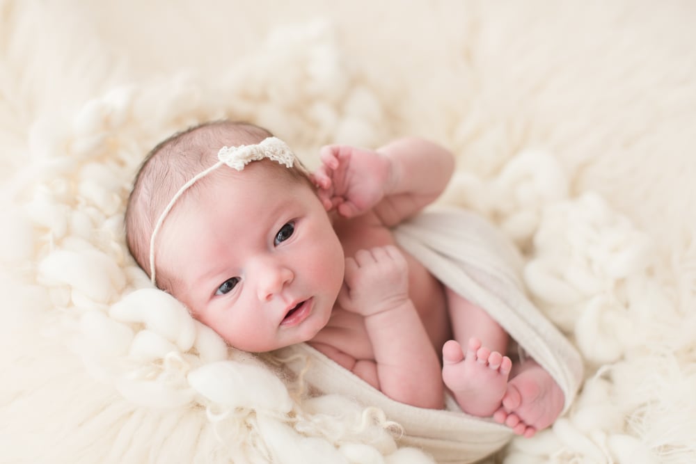 Image of Newborn Creative Fee