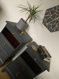 Image 3 of A rare pair of dark grey stag & mahogany bedside tables