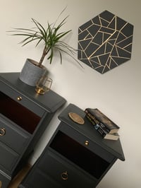 Image 4 of A rare pair of dark grey stag & mahogany bedside tables