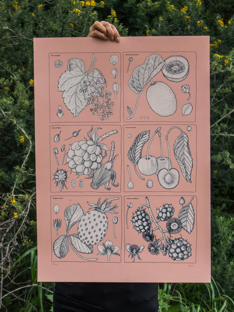 Image of antioxidantes 1