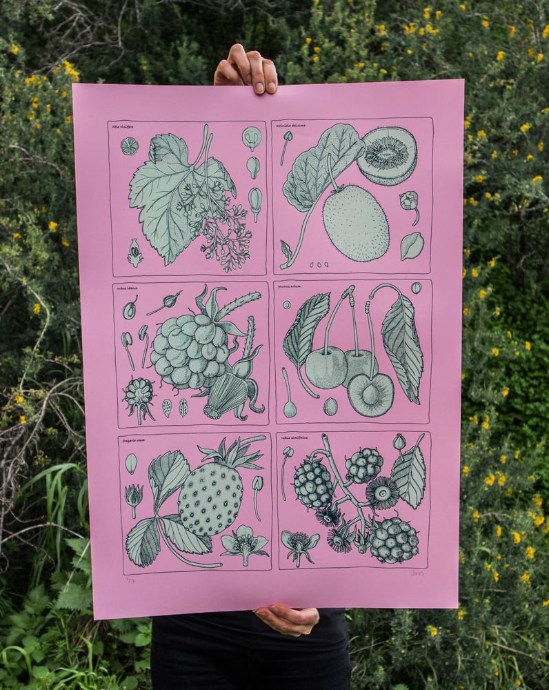 Image of antioxidantes 1 (3)