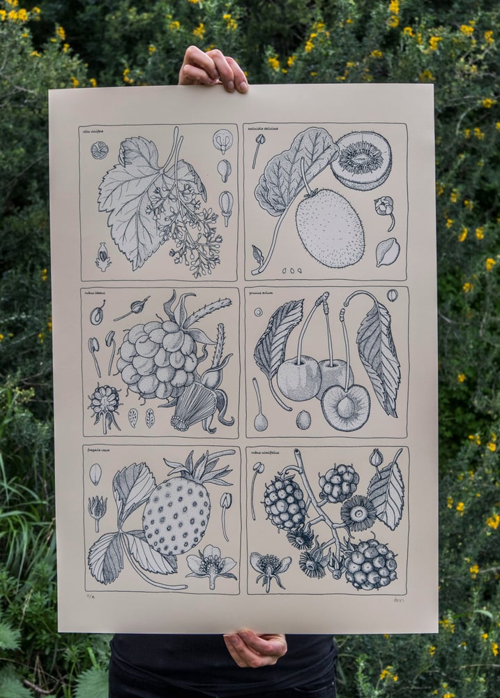 Image of antioxidantes 1 (5)