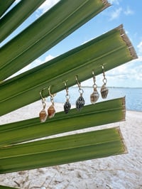 Image 1 of Golden Shell Huggies