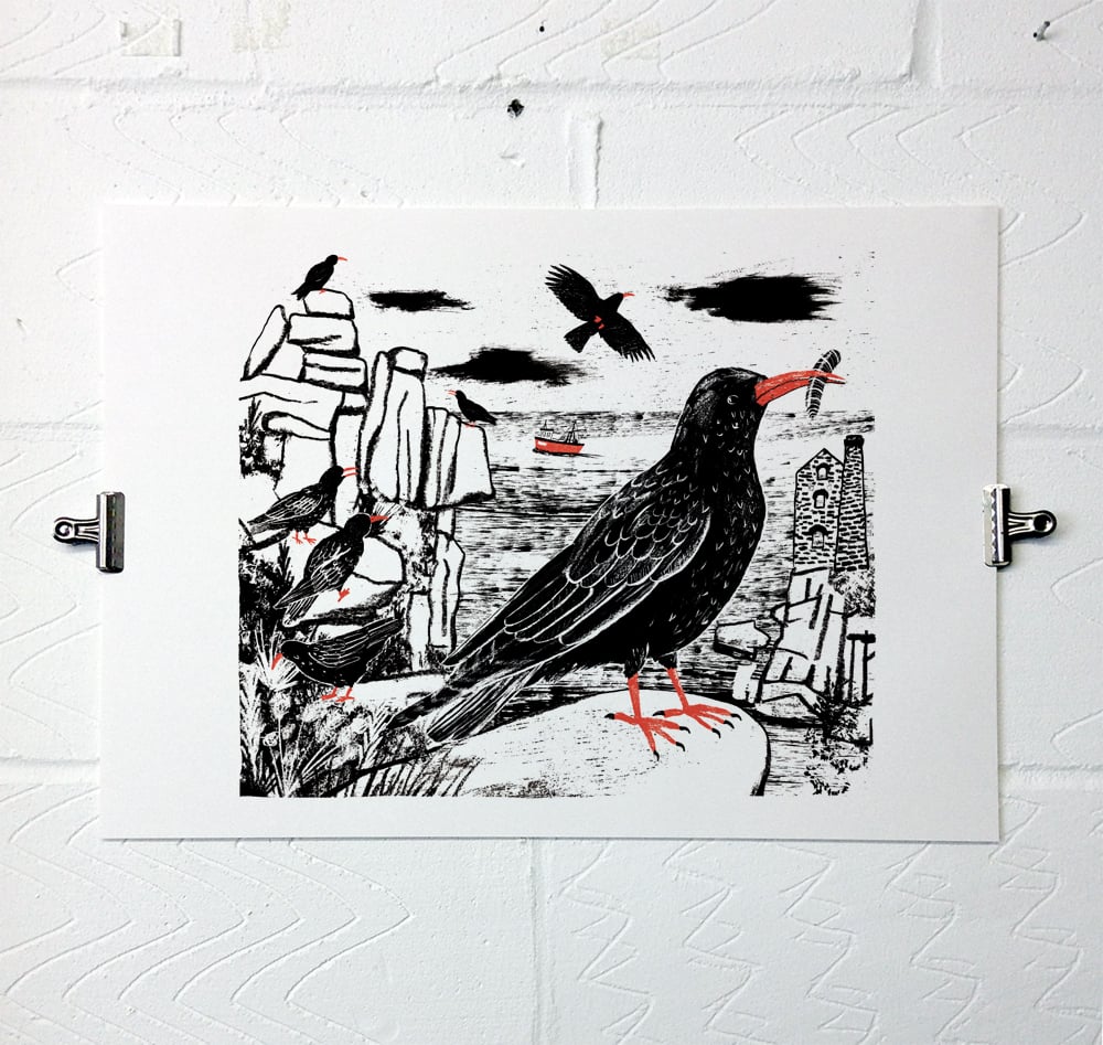 Image of Chough
