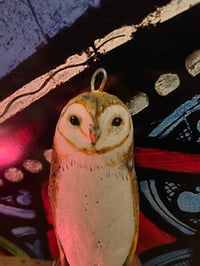 Image 2 of Twig the owl