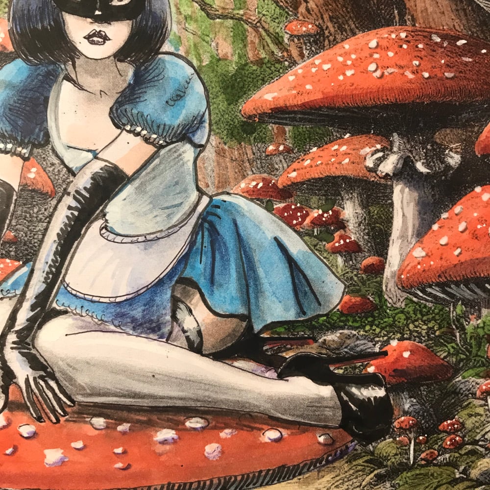 Image of  Alice in wonderland 2