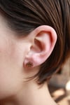 Dragon Scale Stud Earrings