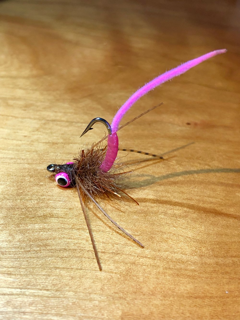 Corya’s Carpin’ Bug 