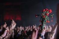 FLOWERS IN THE CROWD